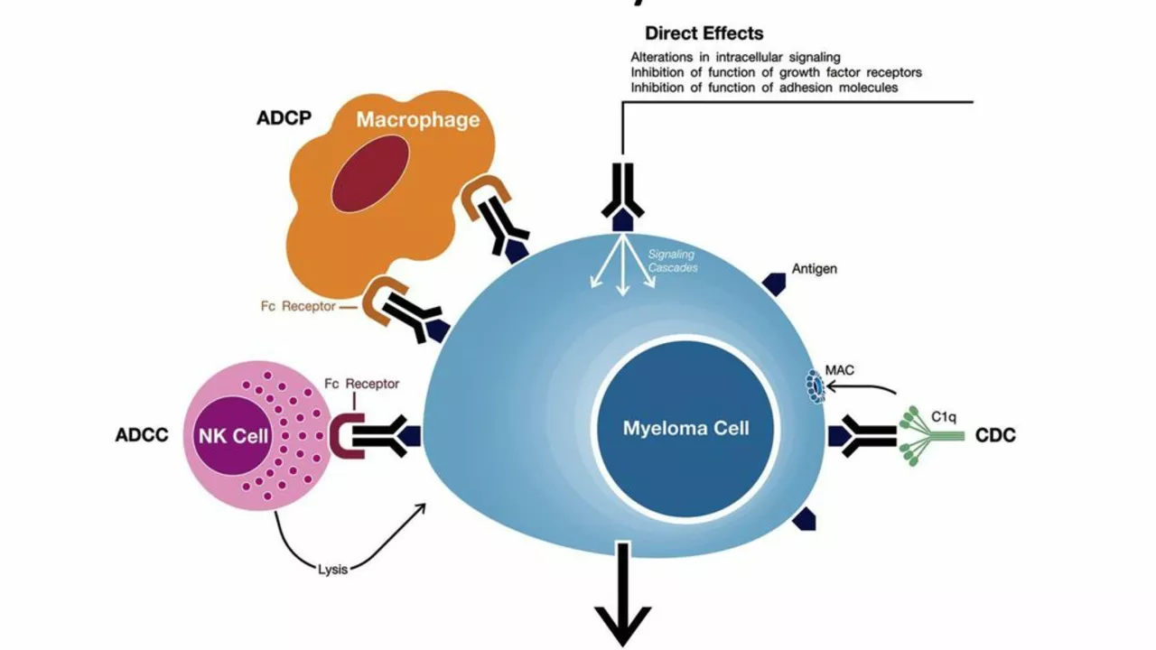 Everolimus and Its Effect on the Management of Multiple Myeloma